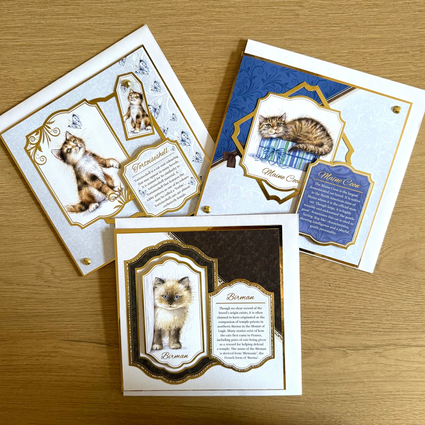 Three Handmade Square 7”x7” Cards: Cats - Tortoiseshell, Maine Coon & Birman