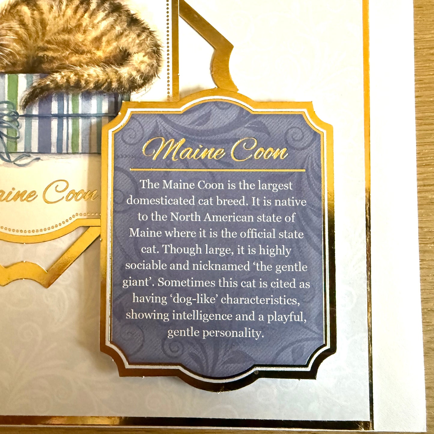 Three Handmade Square 7”x7” Cards: Cats - Tortoiseshell, Maine Coon & Birman