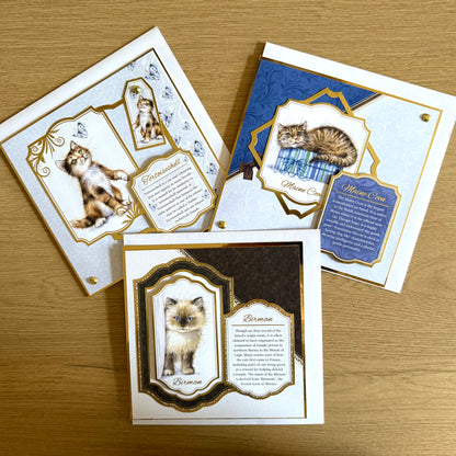 Three Handmade Square 7”x7” Cards: Cats - Tortoiseshell, Maine Coon & Birman