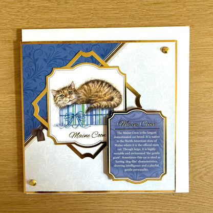 Three Handmade Square 7”x7” Cards: Cats - Tortoiseshell, Maine Coon & Birman