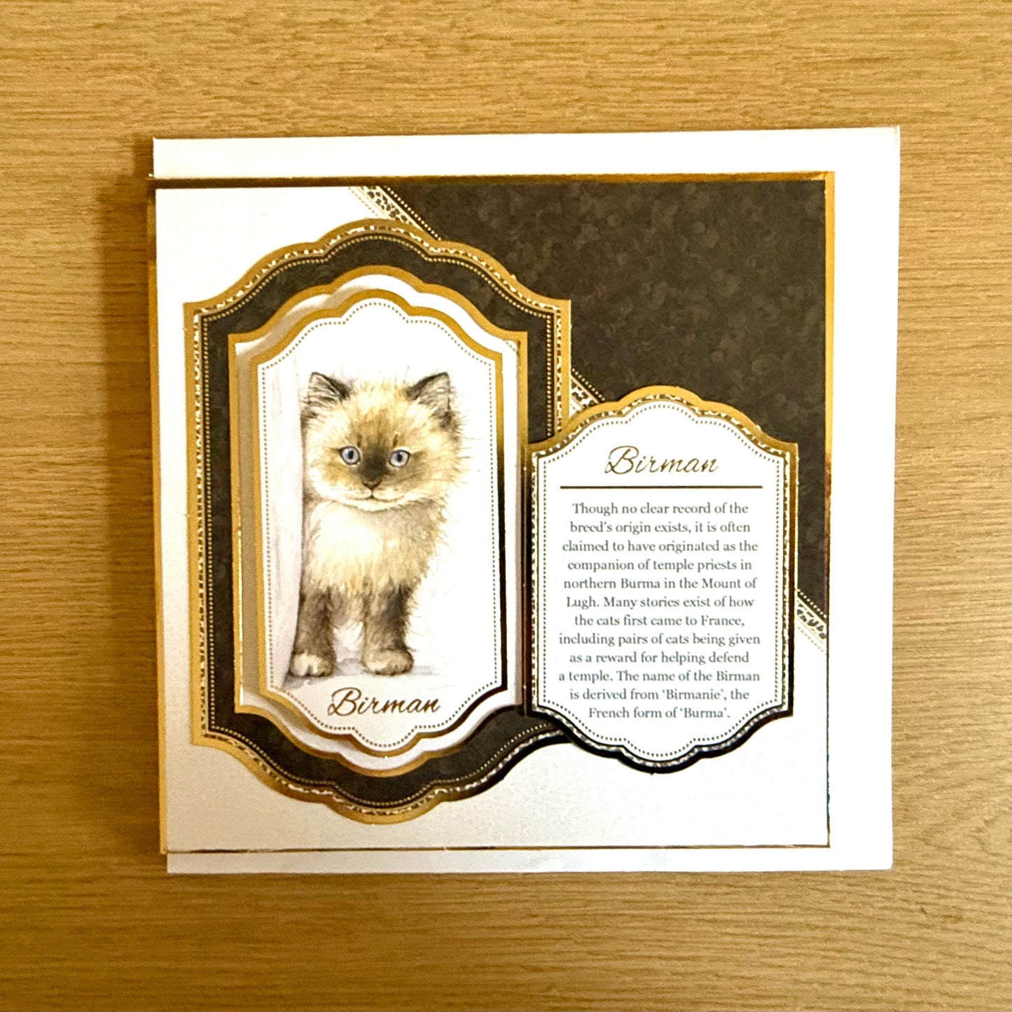 Three Handmade Square 7”x7” Cards: Cats - Tortoiseshell, Maine Coon & Birman