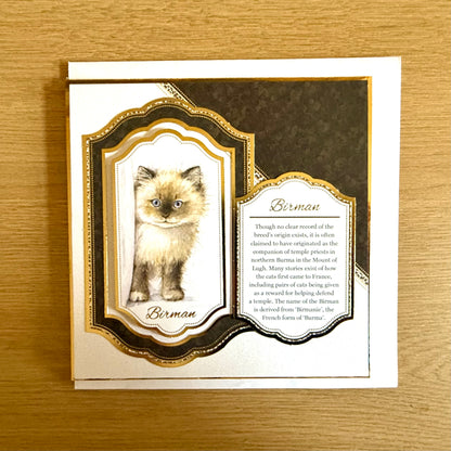 Three Handmade Square 7”x7” Cards: Cats - Tortoiseshell, Maine Coon & Birman