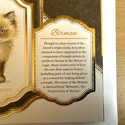 Three Handmade Square 7”x7” Cards: Cats - Tortoiseshell, Maine Coon & Birman